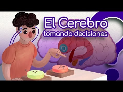 Pienso ¿Luego actúo? Cómo decide nuestro cerebro - CuriosaMente 163