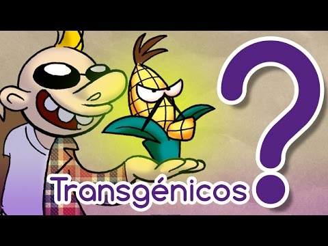 ¿Los transgénicos son peligrosos? - CuriosaMente 71