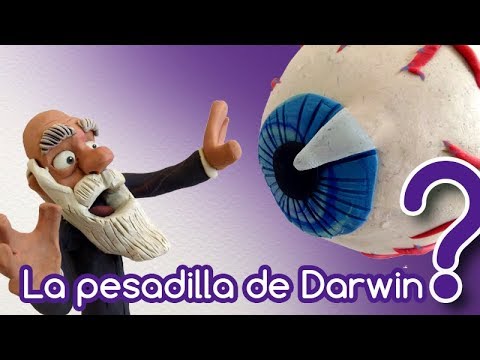 El ojo: ¿diseño o evolución?- CuriosaMente 111