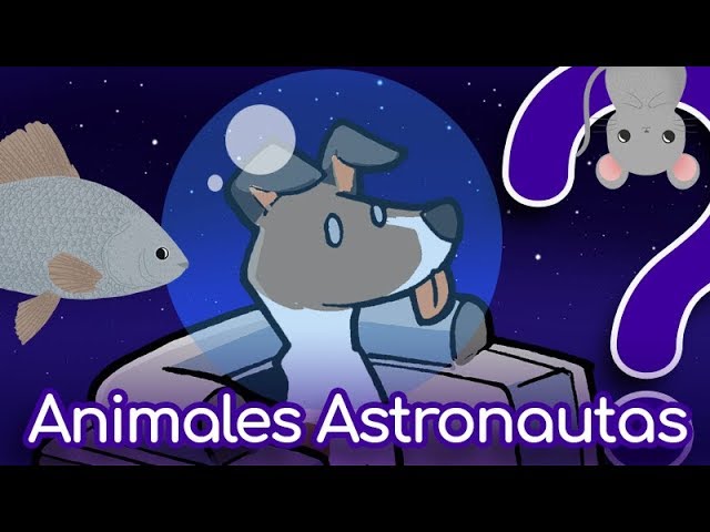 🐶 ¿Animales astronautas? 🚀 -CuriosaMente 165 (Con Cielos Despejados y La Silla de Hawking)
